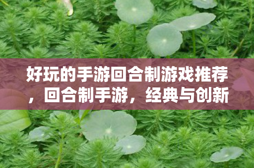 好玩的手游回合制游戏推荐，回合制手游，经典与创新的完美融合