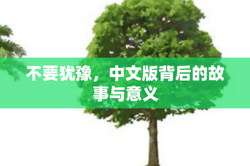 不要犹豫，中文版背后的故事与意义