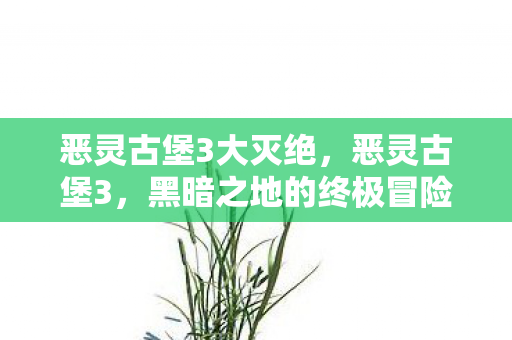 恶灵古堡3大灭绝，恶灵古堡3，黑暗之地的终极冒险