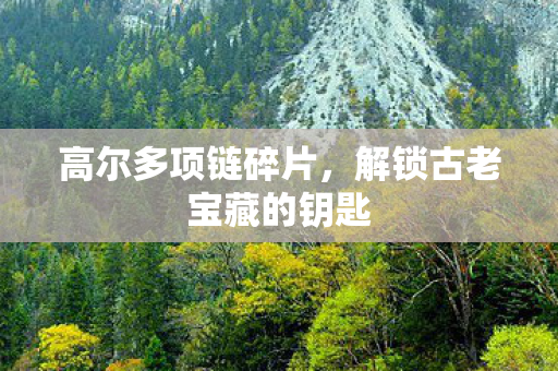 高尔多项链碎片，解锁古老宝藏的钥匙