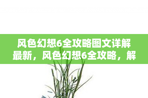 风色幻想6全攻略图文详解最新，风色幻想6全攻略，解锁终极冒险之旅