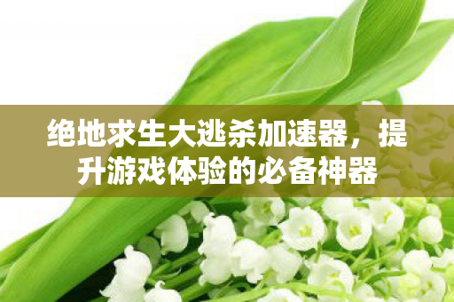 绝地求生大逃杀加速器，提升游戏体验的必备神器