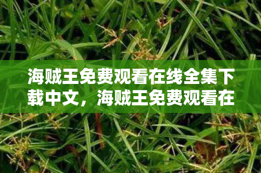 海贼王免费观看在线全集下载中文，海贼王免费观看在线全集下载，探索无尽海域的冒险之旅