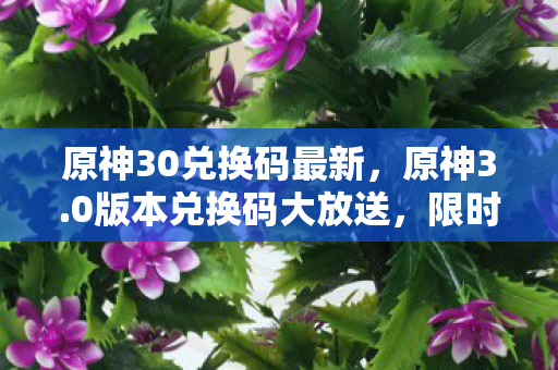 原神30兑换码最新，原神3.0版本兑换码大放送，限时领取！
