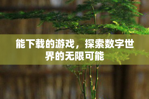 能下载的游戏，探索数字世界的无限可能