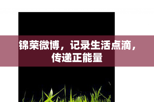 锦荣微博，记录生活点滴，传递正能量