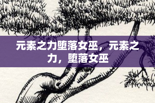 元素之力堕落女巫，元素之力，堕落女巫