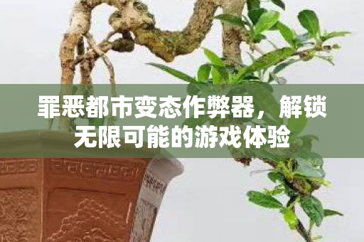 罪恶都市变态作弊器,解锁无限可能的游戏体验 罪恶都市变态作弊器,解锁无限可能的游戏体验