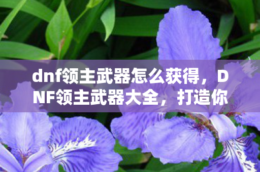 dnf领主武器怎么获得，DNF领主武器大全，打造你的专属战斗神器