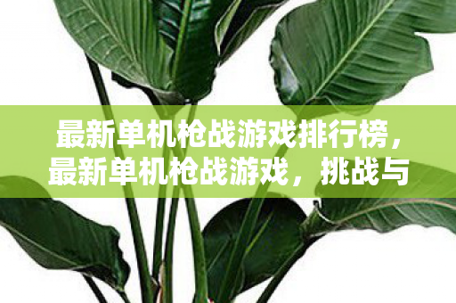 最新单机枪战游戏排行榜，最新单机枪战游戏，挑战与激情的完美结合