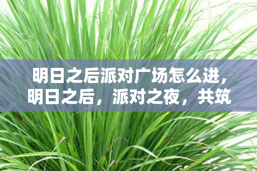 明日之后派对广场怎么进，明日之后，派对之夜，共筑生存与希望