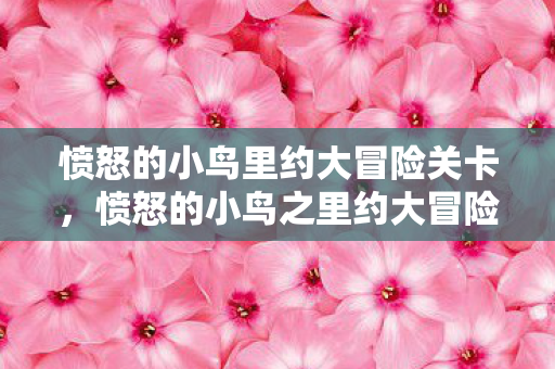 愤怒的小鸟里约大冒险关卡，愤怒的小鸟之里约大冒险，一场充满乐趣与挑战的冒险之旅