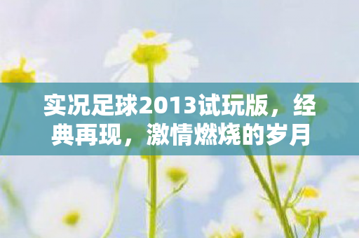 实况足球2013试玩版，经典再现，激情燃烧的岁月