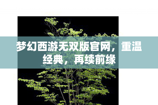 梦幻西游无双版官网，重温经典，再续前缘