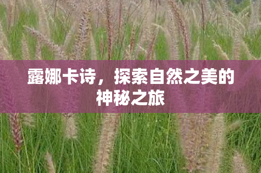 露娜卡诗，探索自然之美的神秘之旅