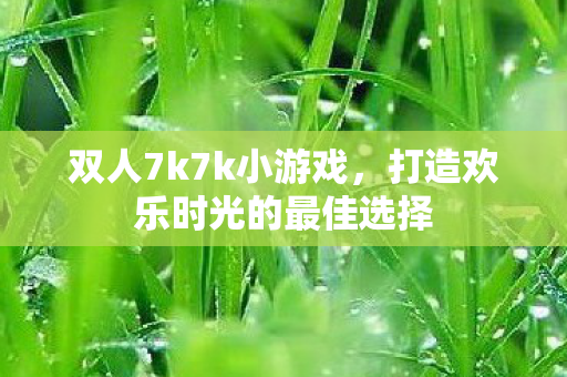 双人7k7k小游戏，打造欢乐时光的最佳选择