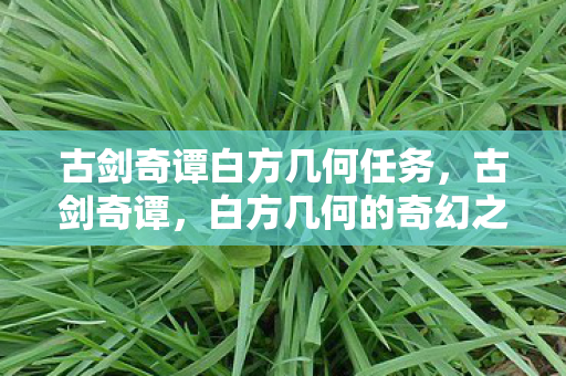 古剑奇谭白方几何任务,古剑奇谭,白方几何的奇幻之旅 古剑奇谭白方几何任务,古剑奇谭,白方几何的奇幻之旅