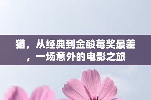 猫，从经典到金酸莓奖最差，一场意外的电影之旅