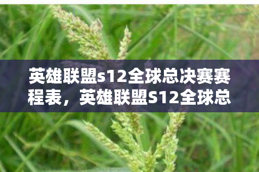 英雄联盟S12全球总决赛赛程全解析图片