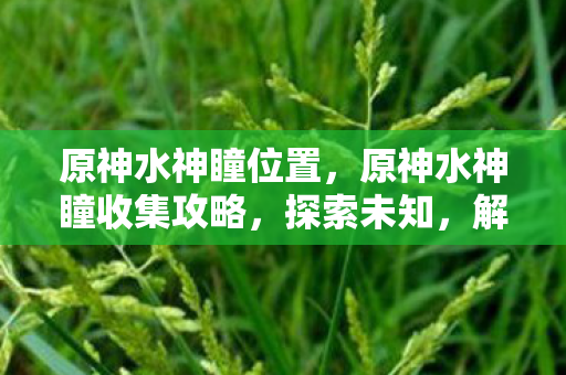 原神水神瞳位置，原神水神瞳收集攻略，探索未知，解锁神秘力量