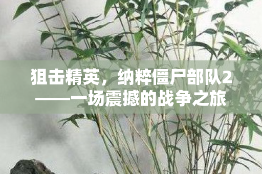 狙击精英，纳粹僵尸部队2——一场震撼的战争之旅