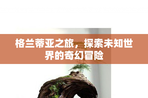 格兰蒂亚之旅，探索未知世界的奇幻冒险