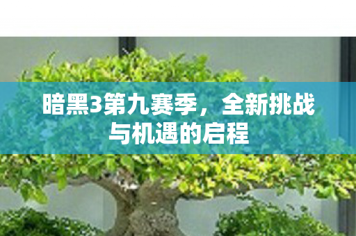 暗黑3第九赛季，全新挑战与机遇的启程