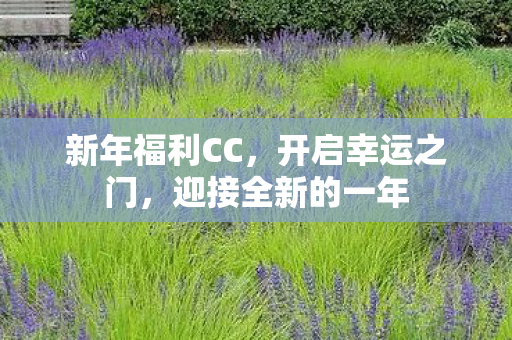 迎接全新的一年图片