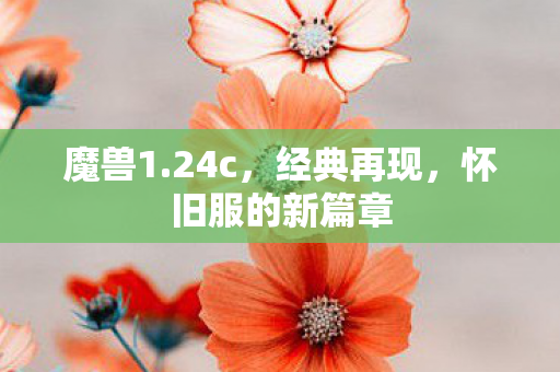 魔兽1.24c，经典再现，怀旧服的新篇章