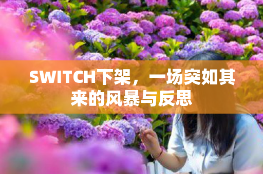 SWITCH下架，一场突如其来的风暴与反思