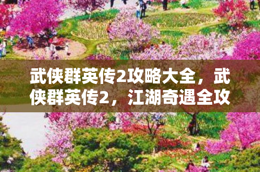 武侠群英传2攻略大全，武侠群英传2，江湖奇遇全攻略