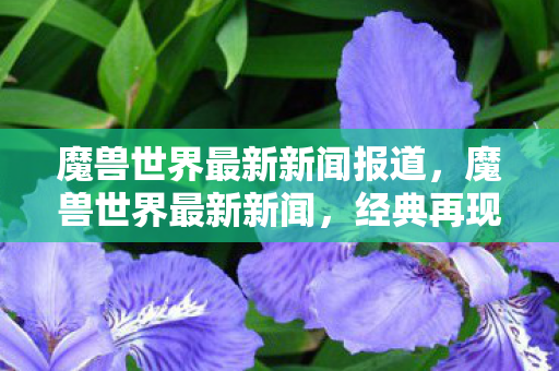 魔兽世界最新新闻报道，魔兽世界最新新闻，经典再现，全新挑战等你来战