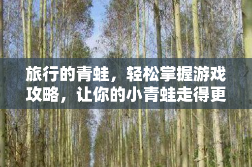 让你的小青蛙走得更远图片