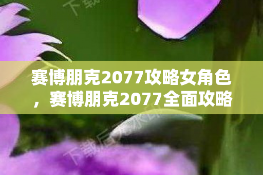 赛博朋克2077攻略女角色,赛博朋克2077全面攻略,从夜之城的新手村到传奇之路 赛博朋克2077攻略女角色,赛博朋克2077全面攻略,从夜之城的新手村到传奇之路