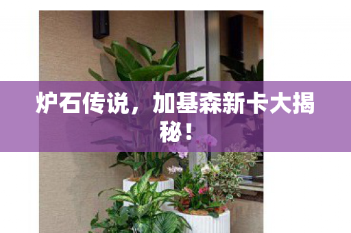 炉石传说，加基森新卡大揭秘！