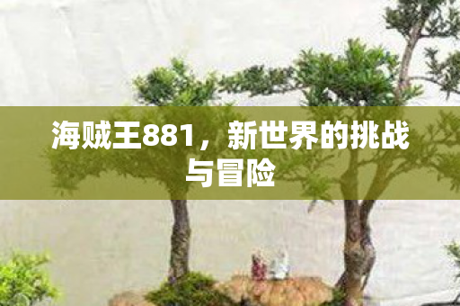 海贼王881，新世界的挑战与冒险