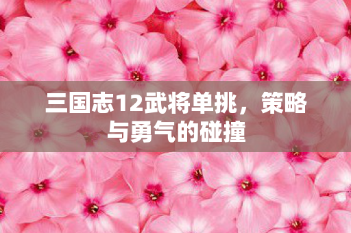 三国志12武将单挑，策略与勇气的碰撞