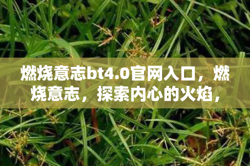 燃烧意志bt4.0官网入口,燃烧意志,探索内心的火焰,点燃生活的激情 燃烧意志bt4.0官网入口,燃烧意志,探索内心的火焰,点燃生活的激情