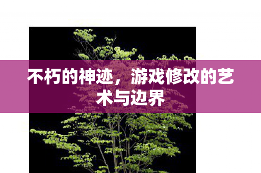 不朽的神迹，游戏修改的艺术与边界