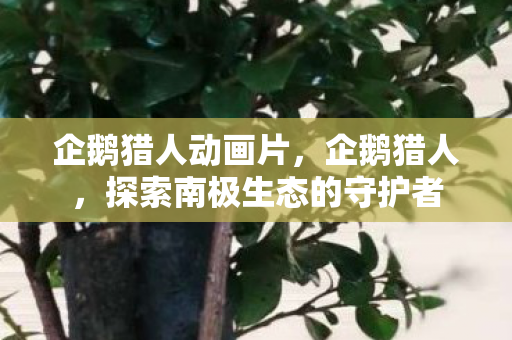 企鹅猎人动画片，企鹅猎人，探索南极生态的守护者
