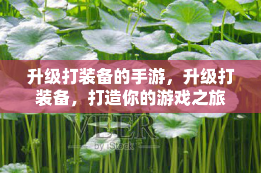 升级打装备的手游，升级打装备，打造你的游戏之旅