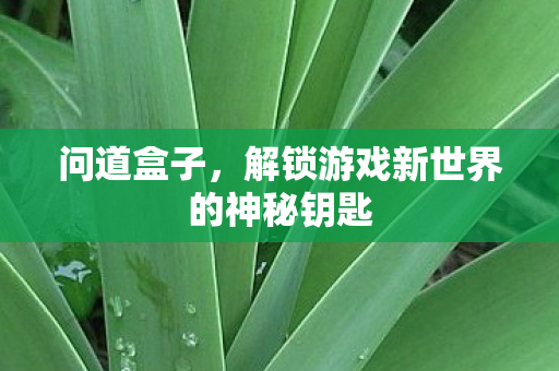 问道盒子，解锁游戏新世界的神秘钥匙