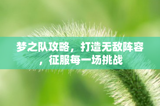 梦之队攻略，打造无敌阵容，征服每一场挑战