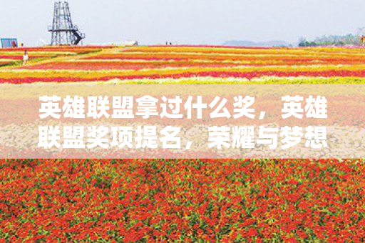 英雄联盟拿过什么奖，英雄联盟奖项提名，荣耀与梦想的交汇点
