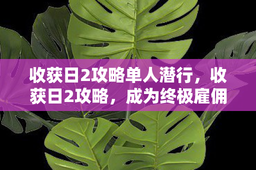 收获日2攻略单人潜行，收获日2攻略，成为终极雇佣兵