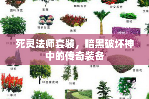 死灵法师套装，暗黑破坏神中的传奇装备