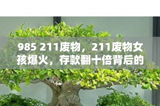985 211废物，211废物女孩爆火，存款翻十倍背后的故事