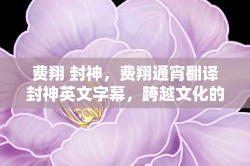 费翔 封神，费翔通宵翻译封神英文字幕，跨越文化的艺术之旅