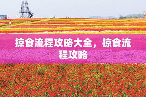 掠食流程攻略大全，掠食流程攻略