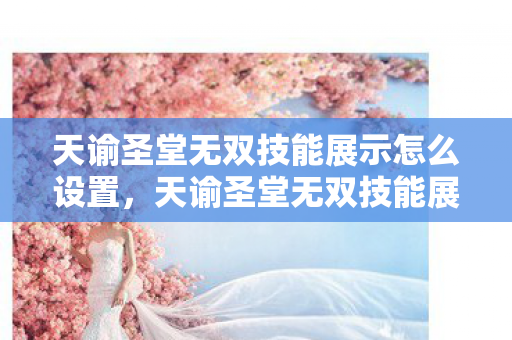 天谕圣堂无双技能展示怎么设置，天谕圣堂无双技能展示，震撼人心的力量与美学